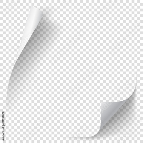 White gradient paper curl with shadow isolated on transparent background. Vector sticker paper note for memo and notice. Vector template illustration for your design