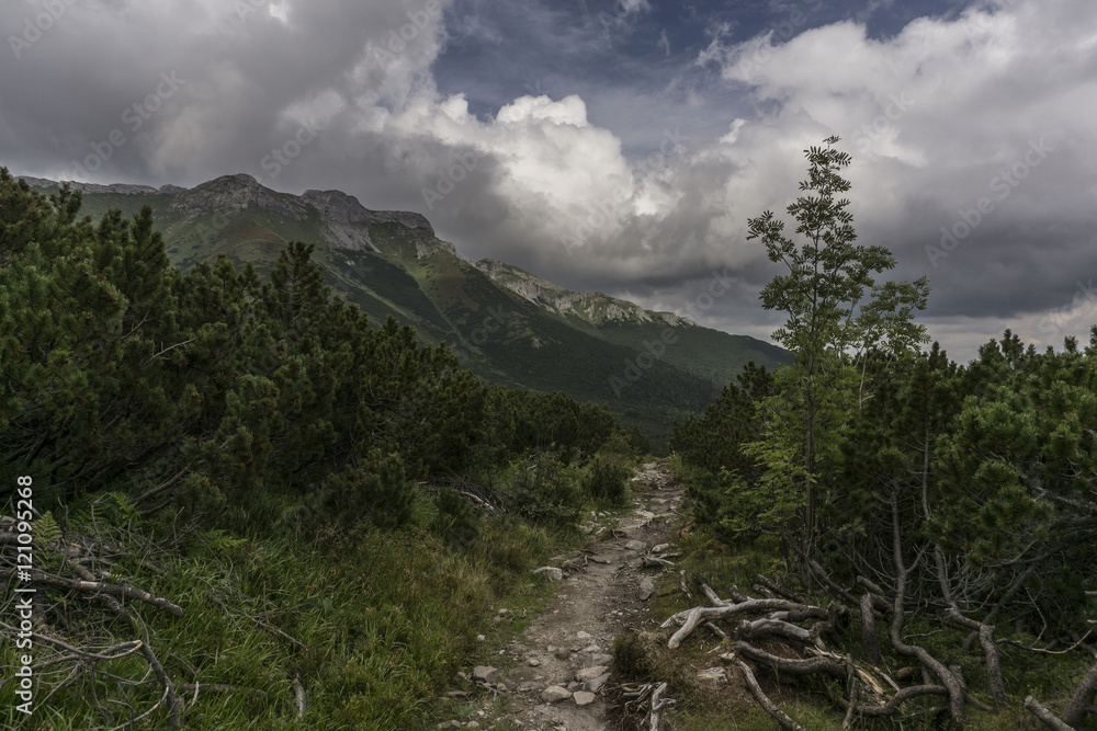 Obraz premium Beautiful landscape in Belianske Tatry. Slovakia 