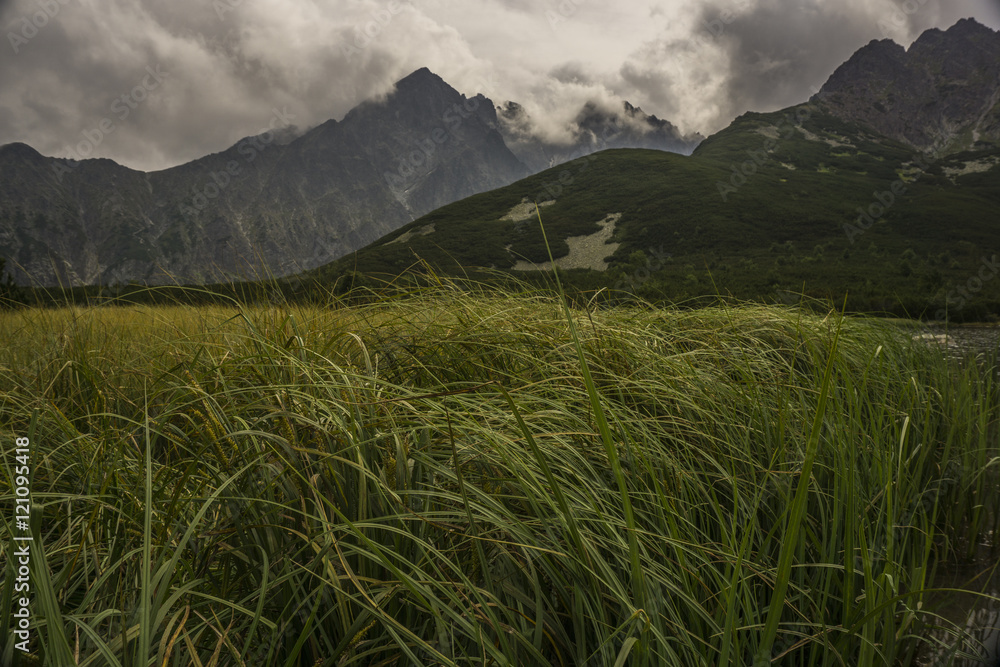 Obraz premium Beautiful landscape in the Tatra Mountains. Slovakia