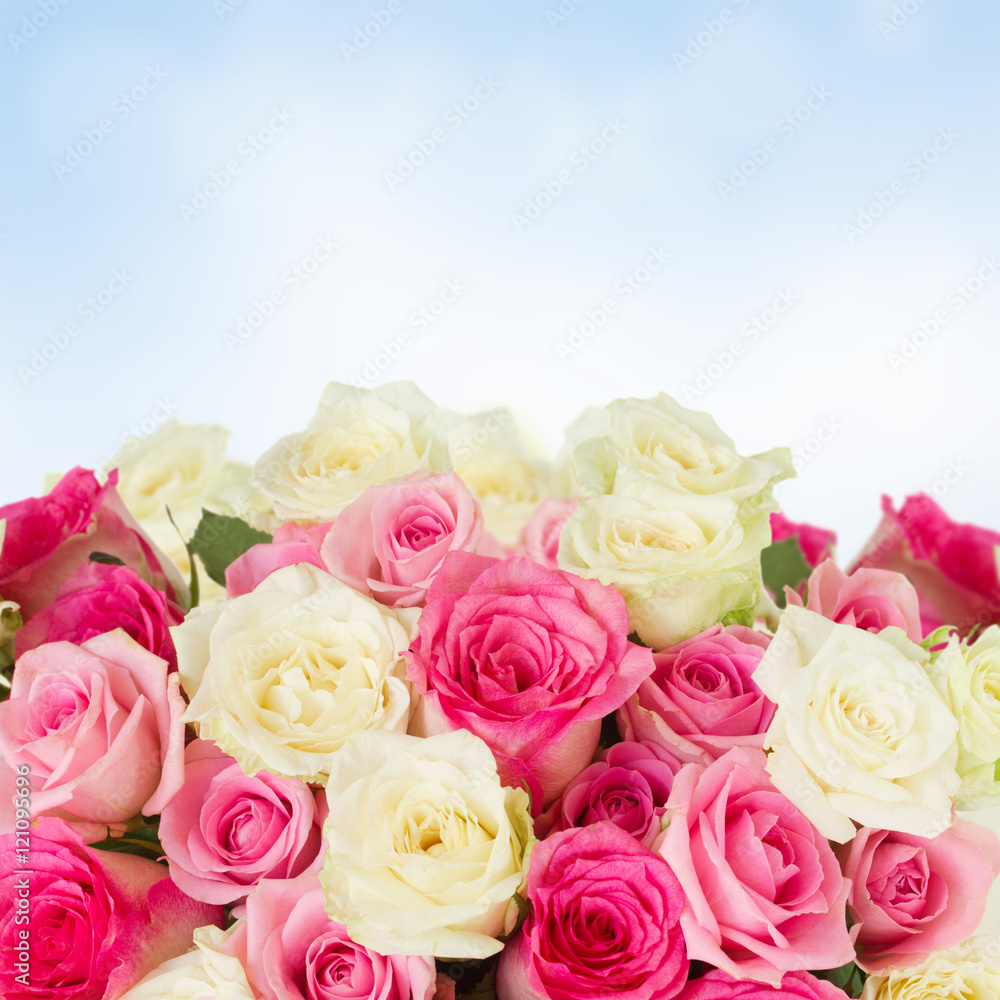 Fototapeta premium bouquet of fresh roses