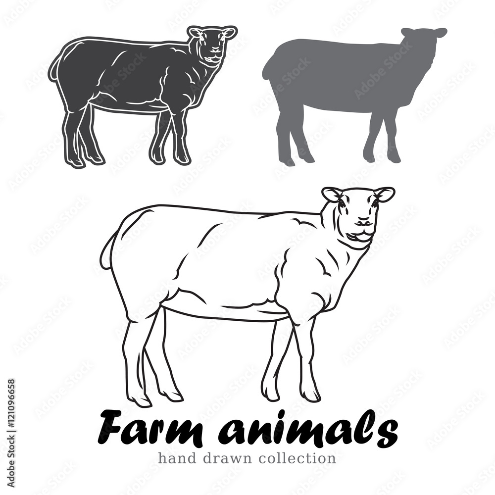 Hand drawn lamb silhouette. Farm animals vector illustration. 
