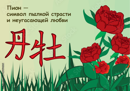 peony