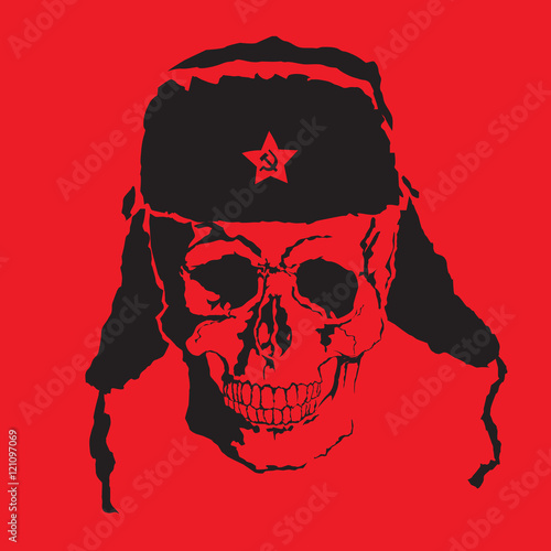 Vector skull. Fur cap.