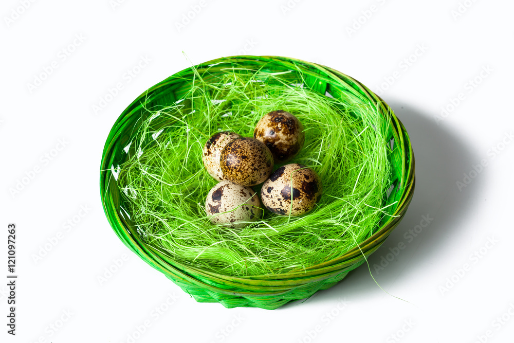 Obraz premium Quail eggs in the nest