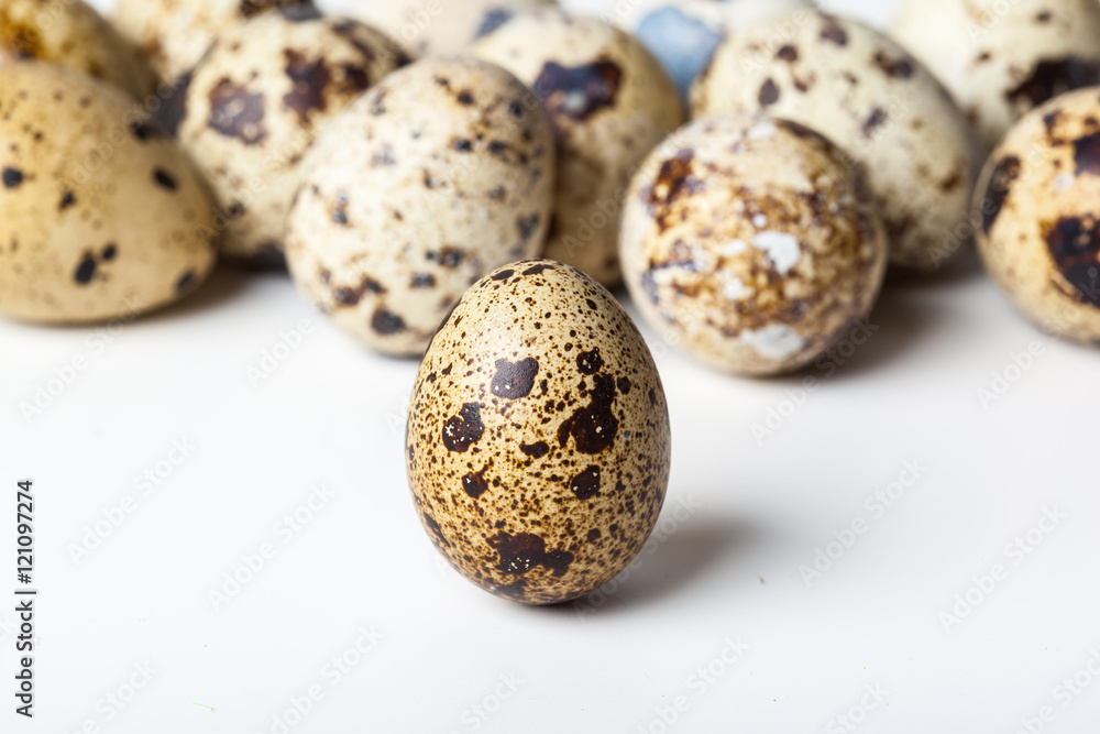 Quail eggs are isolated on a white background Quail eggs are isolated on a white background