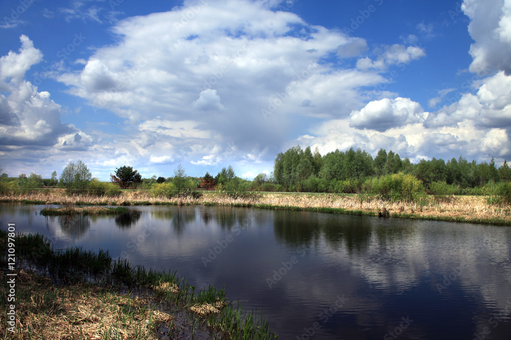 spring landscape