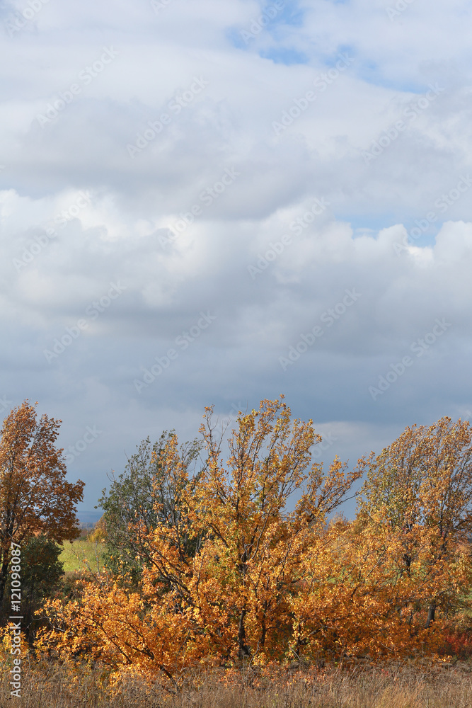autumn landscape autumn landscape
