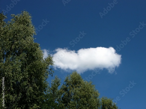 Blauer Himmel mit weißer Wolke und grünen Bäumen bei Sonnenschein an der Grillhütte Holzhausen-Externsteine in Horn-Bad Meinberg bei Detmold am Teutoburger Wald in Ostwestfalen-Lippe photo