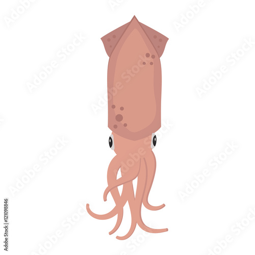 Vector squid cartoon illustration. Squid calamari dcorative squid silhouettes isolated on white background. Vector squid cartoon illustration. Squid water ocean design.