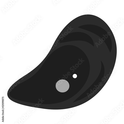Fresh mussel gastronomy ingredient on white background. Shellfish nutrition nature food freshness mussels. Dinner cooked mussels gourmet healthy cuisine seafood gastronomy ingredient vector.
