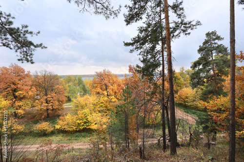 Fototapeta Naklejka Na Ścianę i Meble -  autumn in the mixed forest