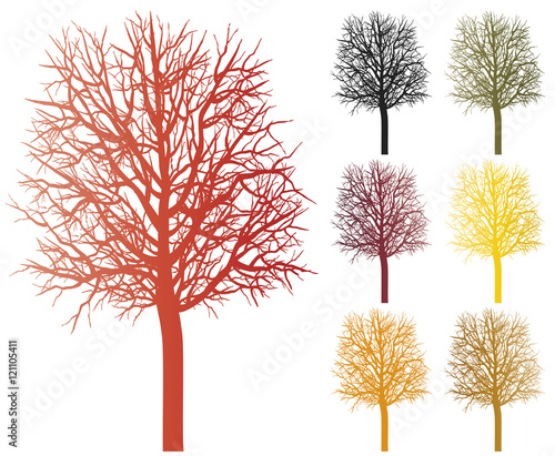 Herbstbaum, verschiedene Farben, Vektor
