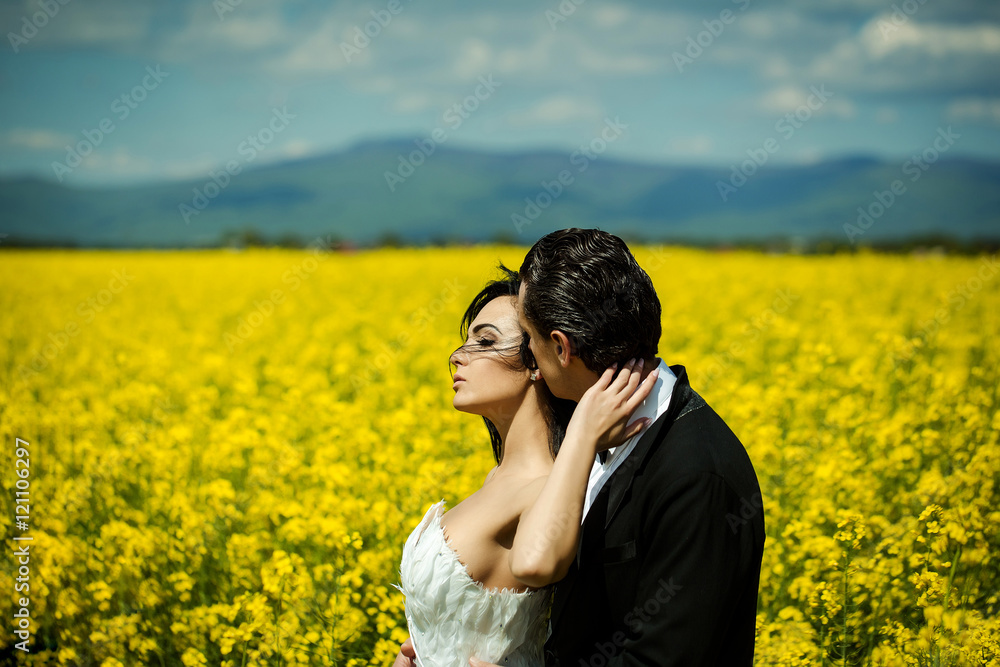 wedding couple in field yellow flowers wedding couple in field yellow flowers