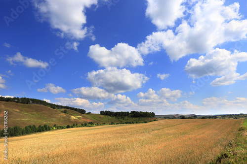 beauty fields