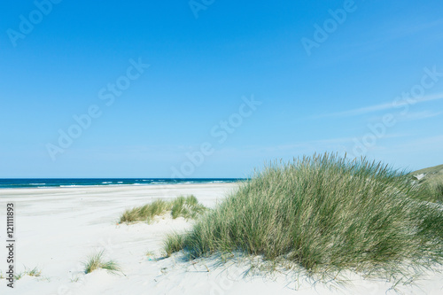 Sommer, Sonne, Urlaub - Düne mit Gras