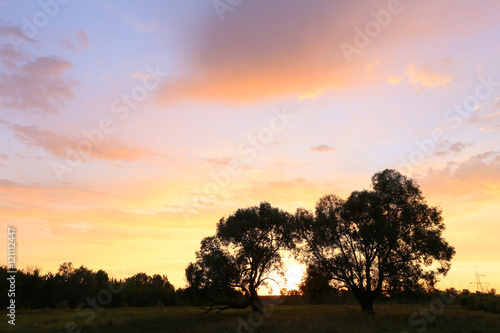 sunset over the oak grove