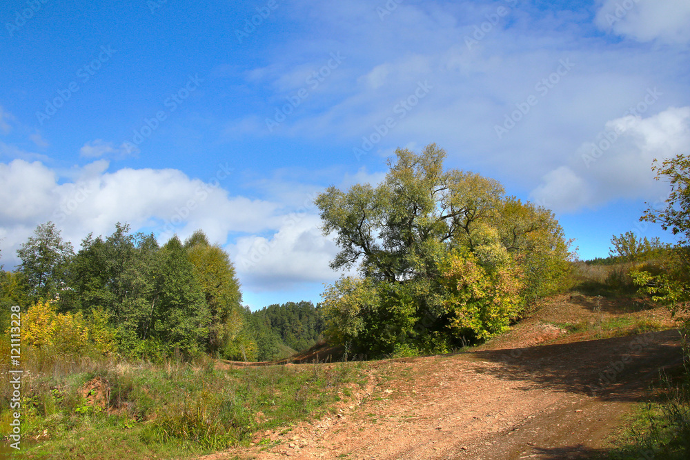 Obraz premium golden autumn