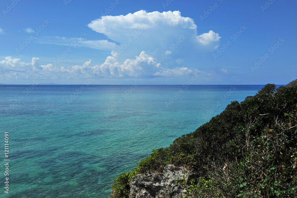 夏の海