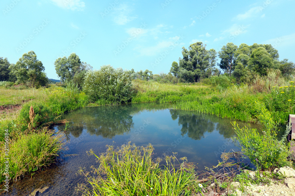 summer landscape