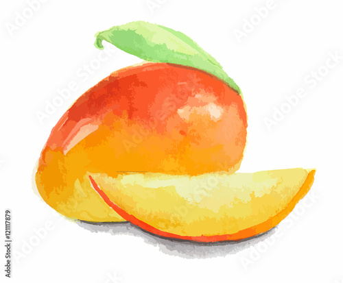 Isolated watercolor mango on white background. Fresh and sweet trpopical fruit.