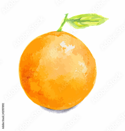Isolated watercolor orange on white background. Fresh and juicy fruit.