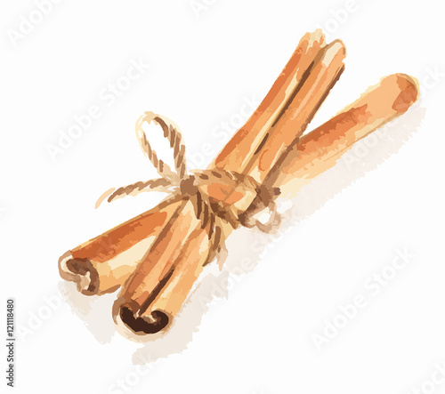Watercolor bunch of cinnamon. Tasty seasoning. Organic herbal vitamin. Ingredient for christmas food and beverage.