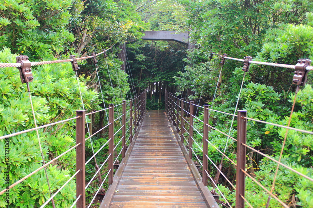 Fototapeta premium Suspension bridge taken in rainy day