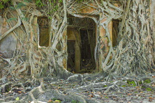 Ruin of abandoned building covered with roots on Ross Island. An photo