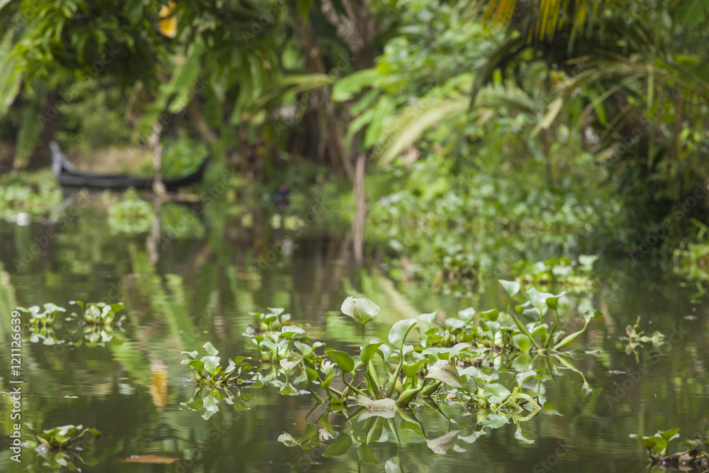 Unidentified indian people in small boat in Kerala backwaters. Unidentified indian people in small boat in Kerala backwaters.
