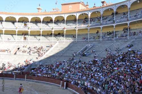 Bull fight Toros