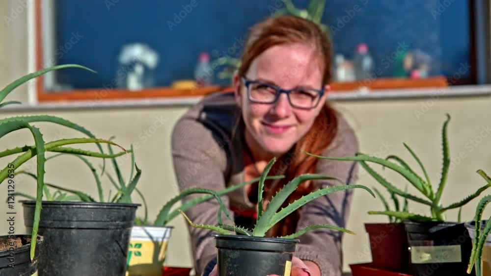Proud female gardener showing aloe arborescens Proud female gardener showing aloe arborescens