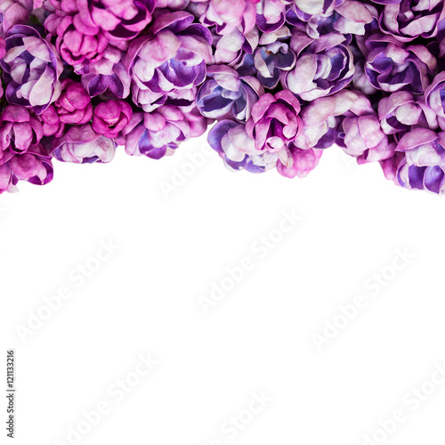 Background with flowers of lilac isolated on white.