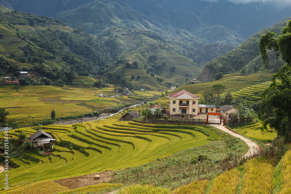 Rice terraces in Viet Nam with beautiful old hause