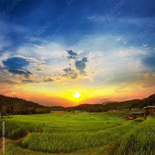 Sunrise Terraced Rice Field in Chiangmai  Thailand