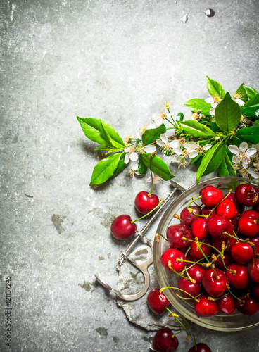 Red cherry in the Cup and metal tool for cherries.
