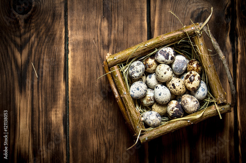 Quail eggs in the basket.