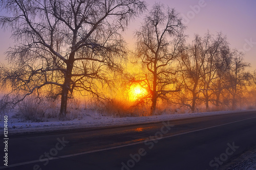 winter road in the early morning. Near the road a number of beautiful trees covered with frost on the background of the rising dawn sun. Beautiful morning light, haze, fog 