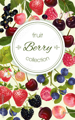Berry vertical banner