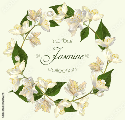 Jasmine flowers banner