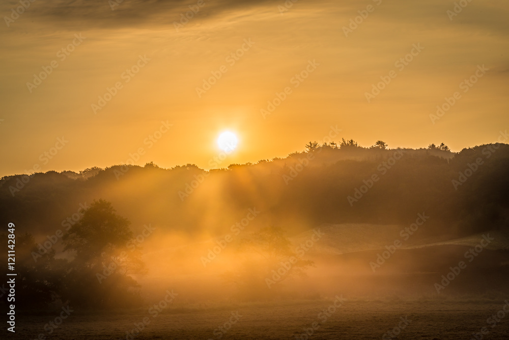 Mystic foggy sunrise,Foggy sunrise over beautiful danish meadow Mystic foggy sunrise,Foggy sunrise over beautiful danish meadow