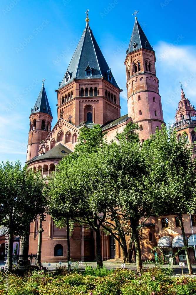 Obraz premium St. Martin's Cathedral in Mainz, Germany