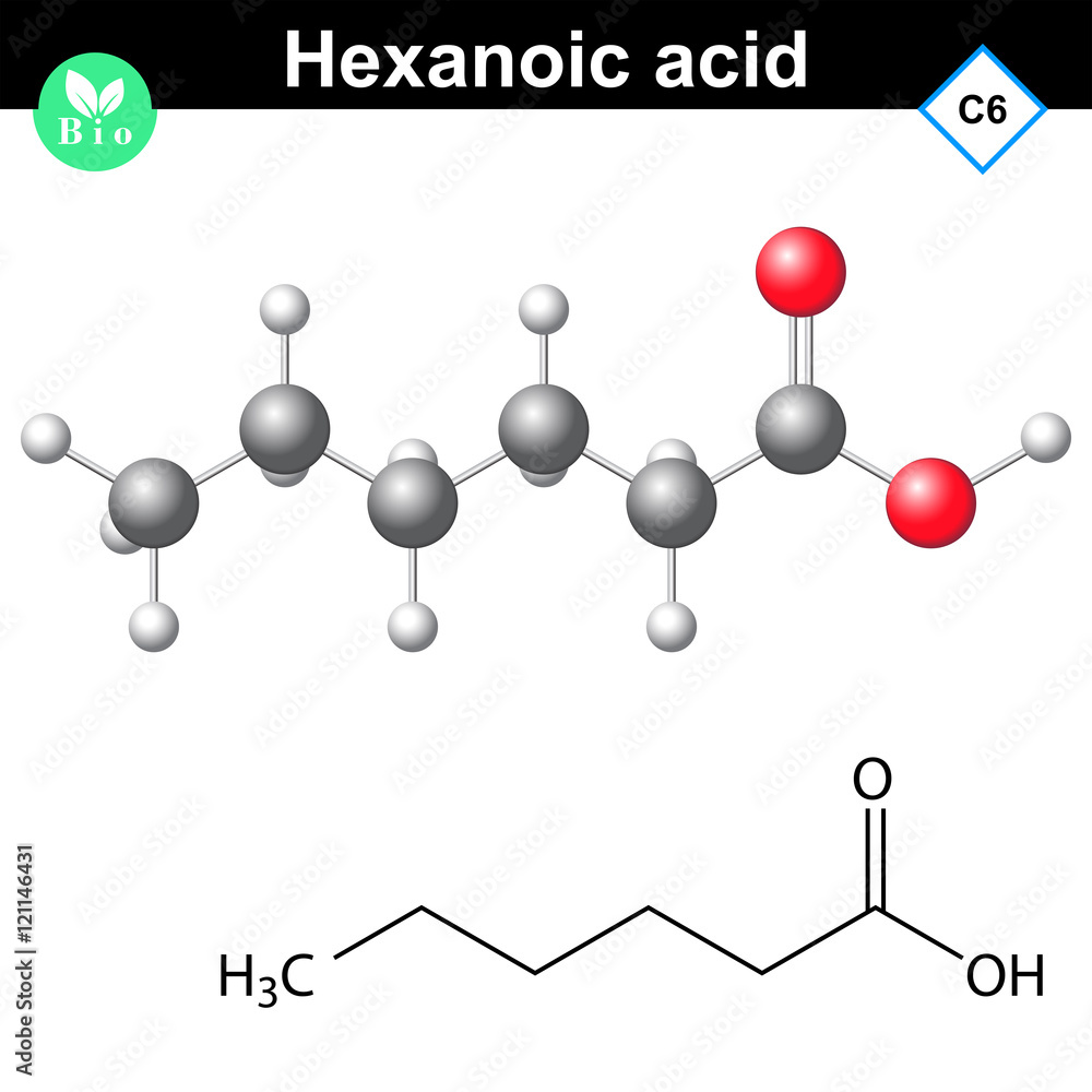 Hexanoic acid molecule Hexanoic acid molecule
