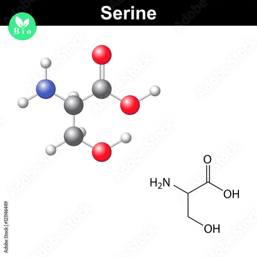 Serine proteinogenic amino acid