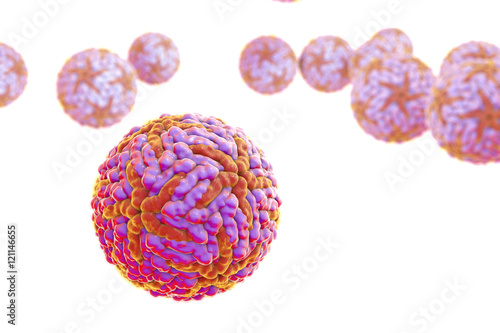 Bilde på lerret Zika virus illustration