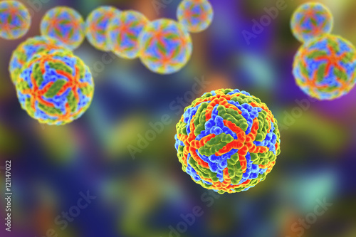 Foto Zika virus illustration
