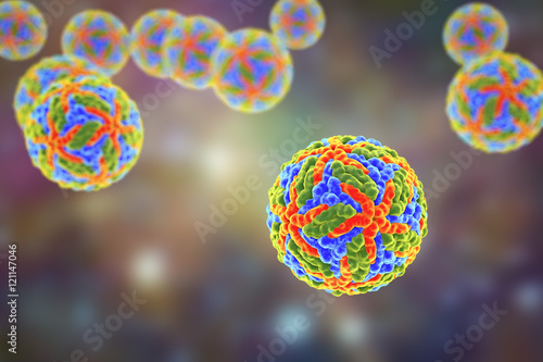 Bilde på lerret Zika virus illustration