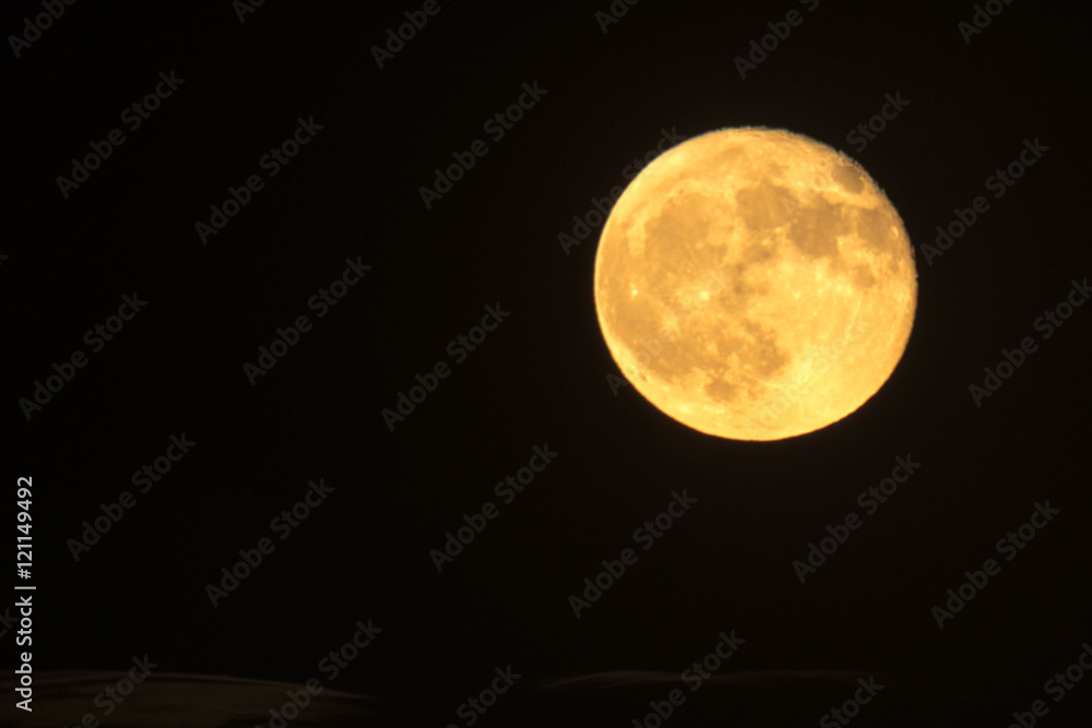 Obraz premium harvest moon