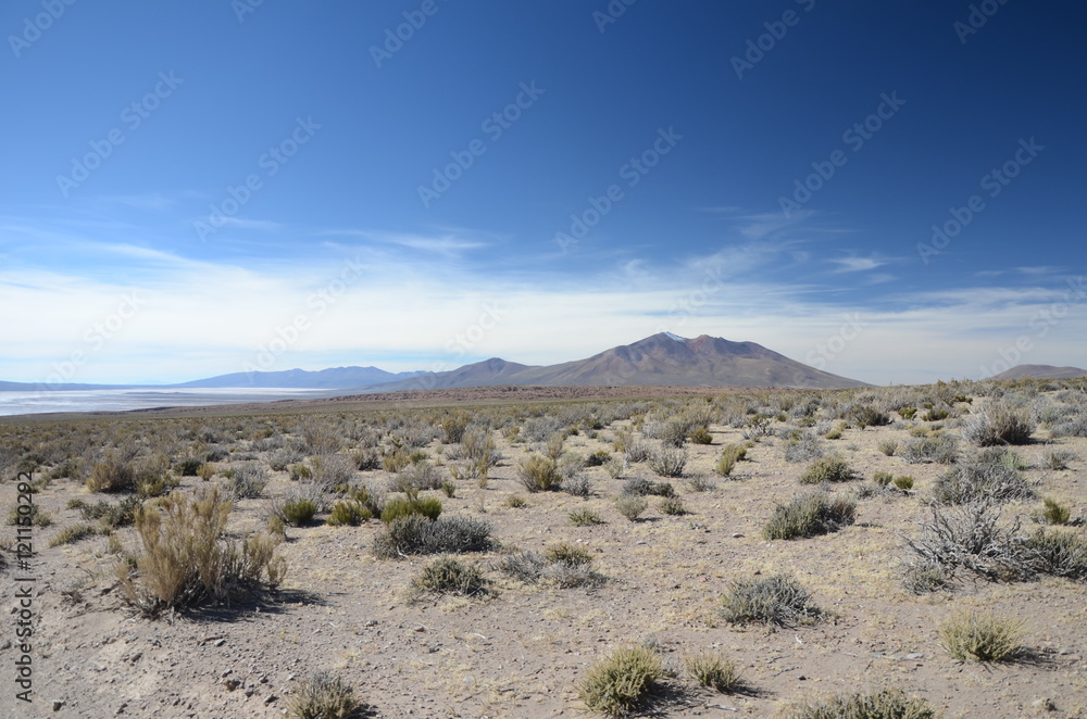 View over Altiplano Bolivia