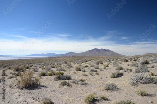 View over Altiplano Bolivia