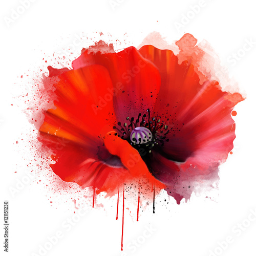 red poppy closeup, isolated on white background, with drips of paint as an artistic concept. Suitable print for garment and printing on notebooks, notebooks.